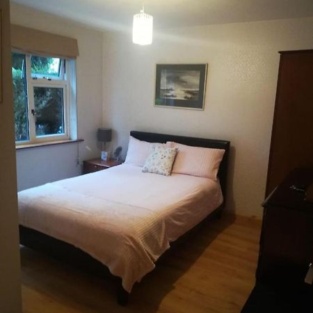 Cosy Apartment Holywood  Zewnętrze zdjęcie